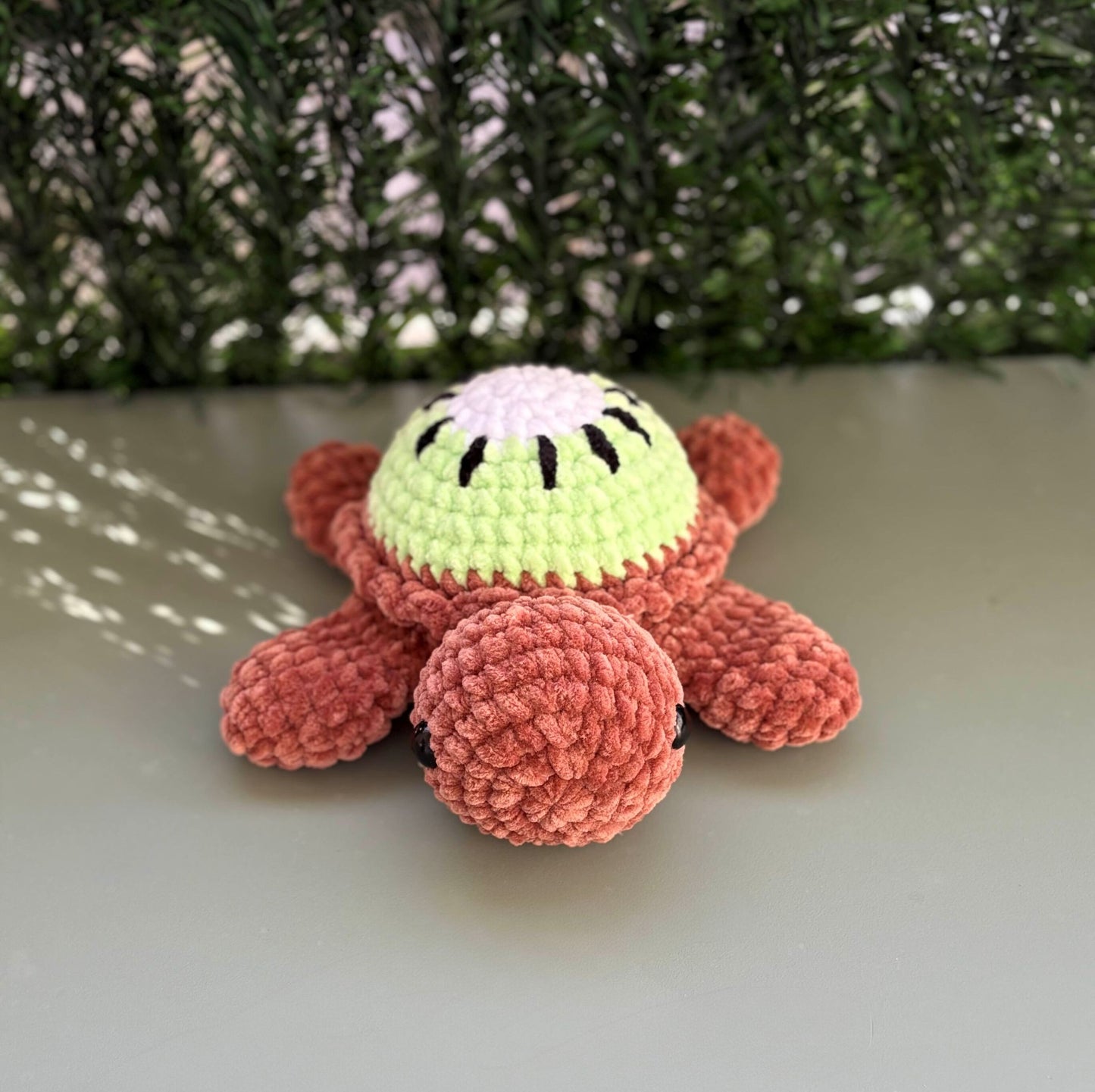 Tortue Kiwi 🥝