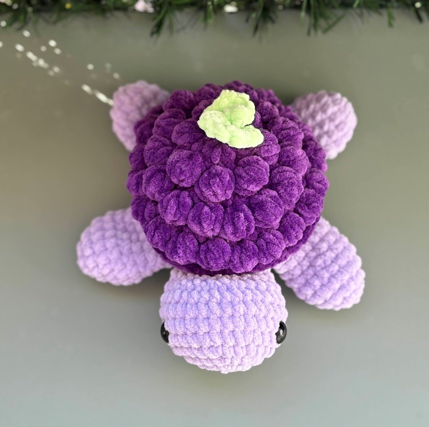 Tortue raisin 🍇