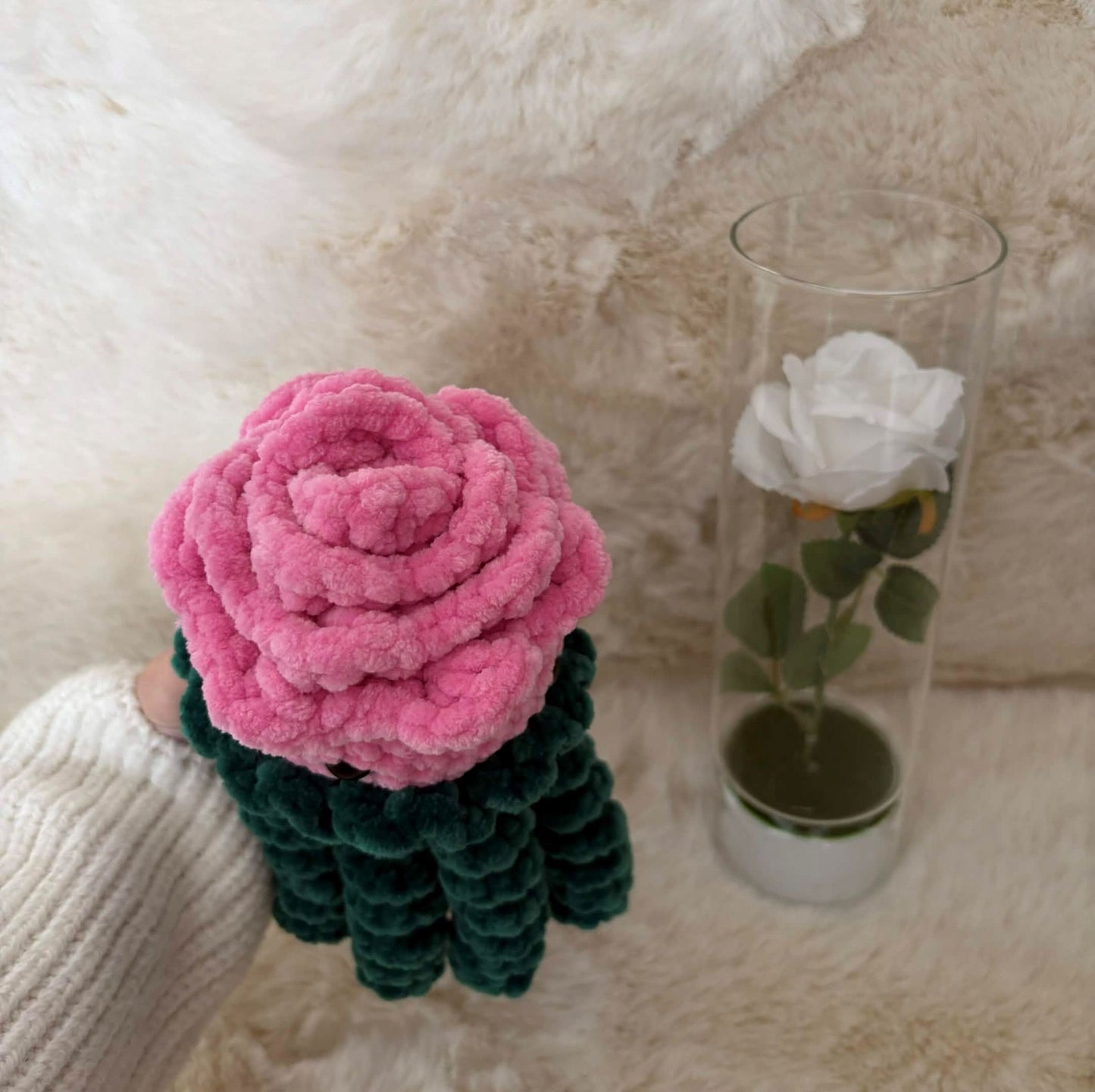 Méduse fleur Rose