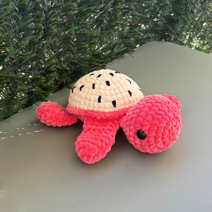 Tortue fruit du dragon 🐉