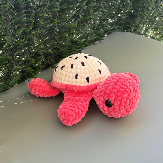 Tortue fruit du dragon 🐉