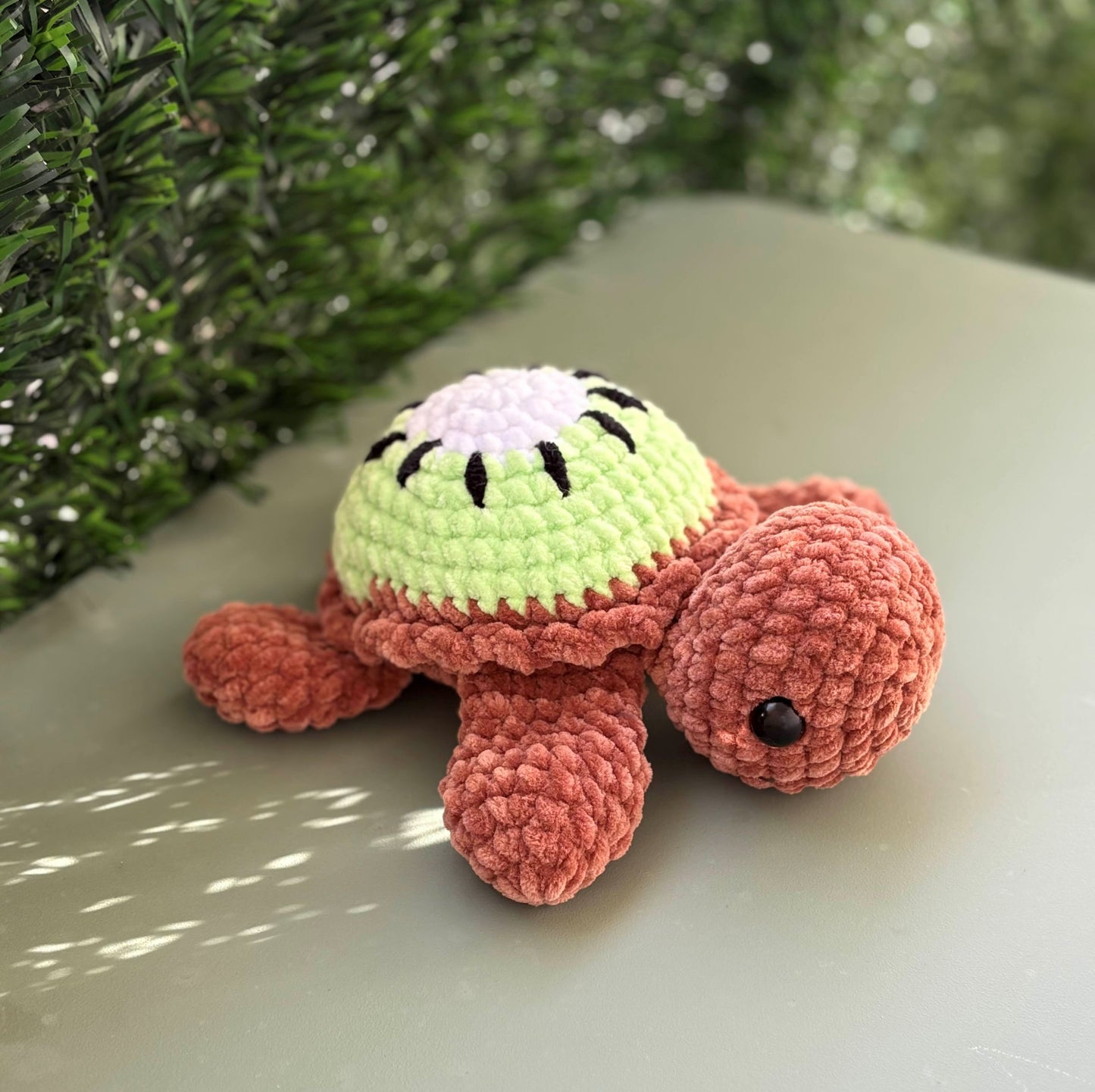 Tortue Kiwi 🥝