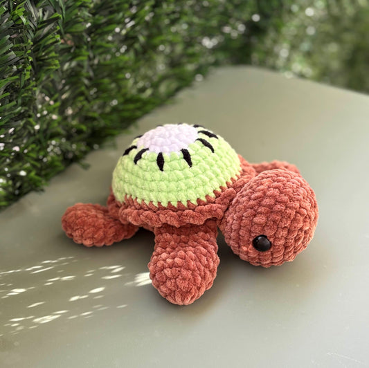 Tortue Kiwi 🥝