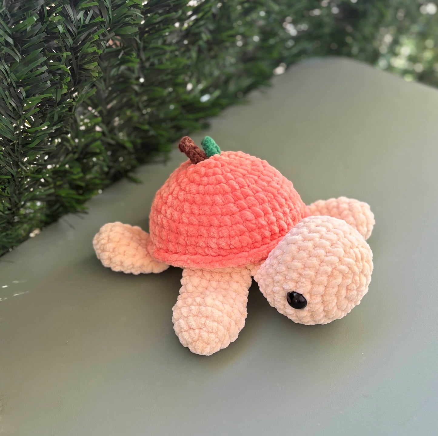 Tortue pêche 🍑
