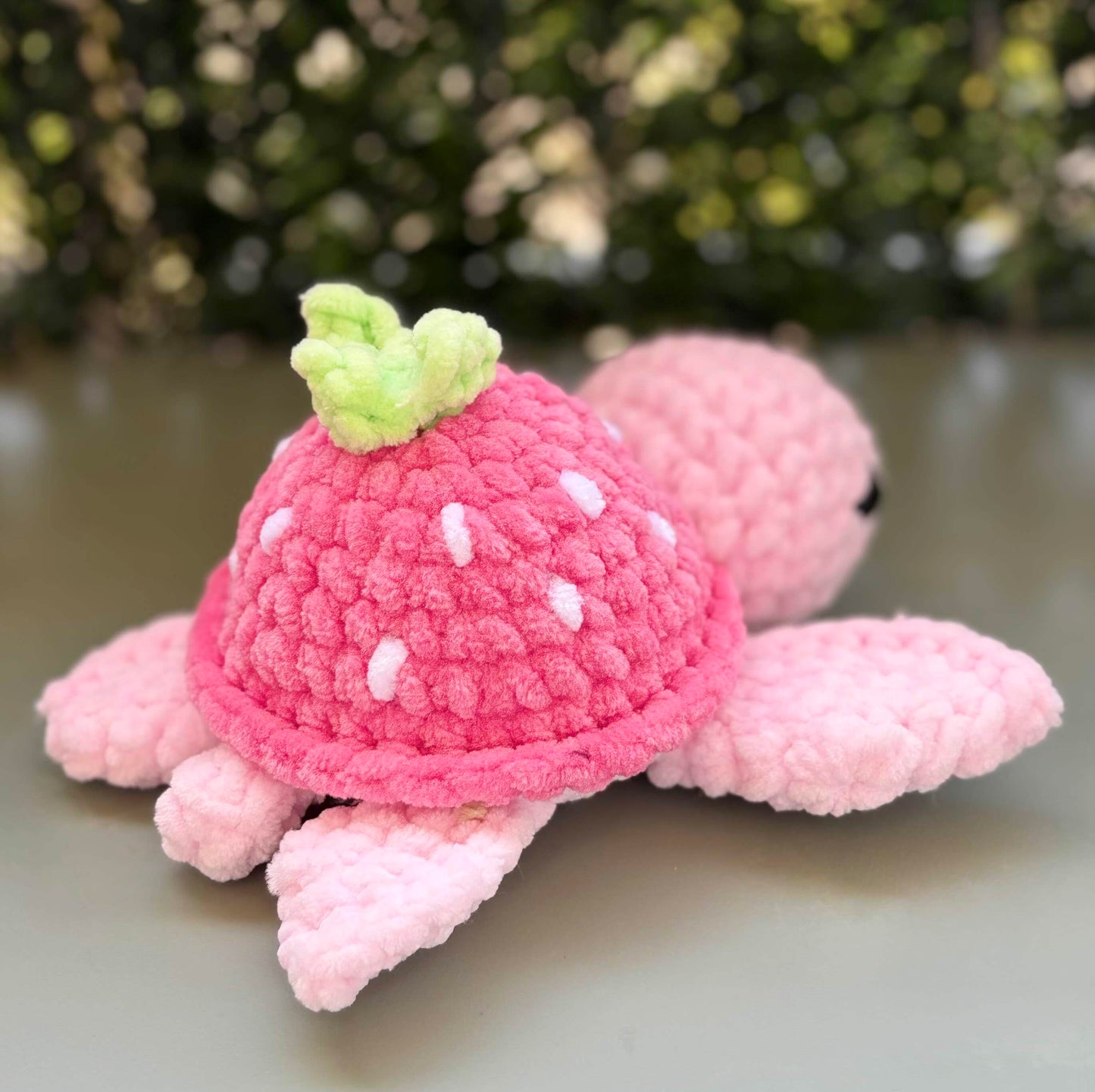 Tortue fraise petit modèle