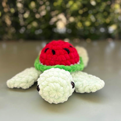 Petite tortue pastèque