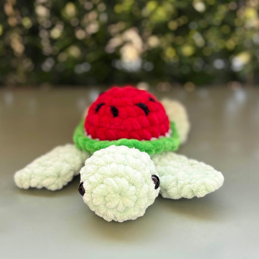Petite tortue pastèque