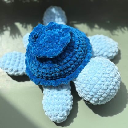 Tortue myrtille 🫐