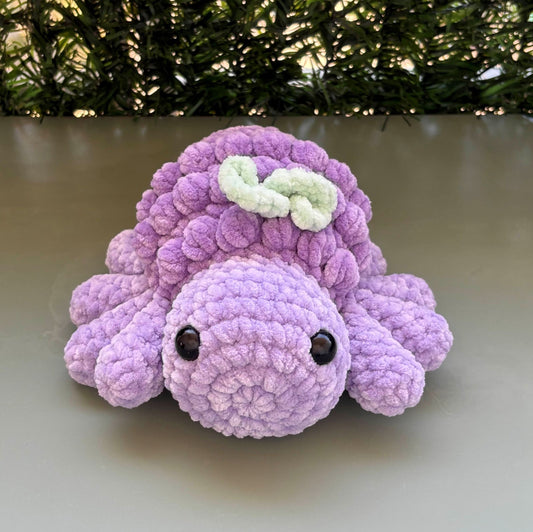 Araignée raisin 🍇