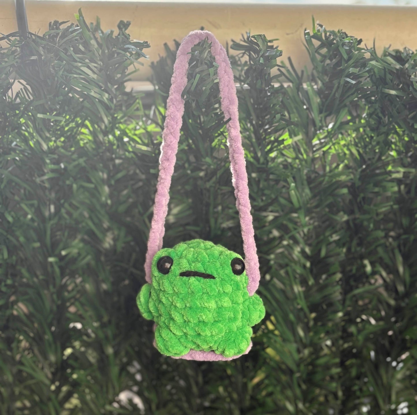 Accessoire de voiture grenouille