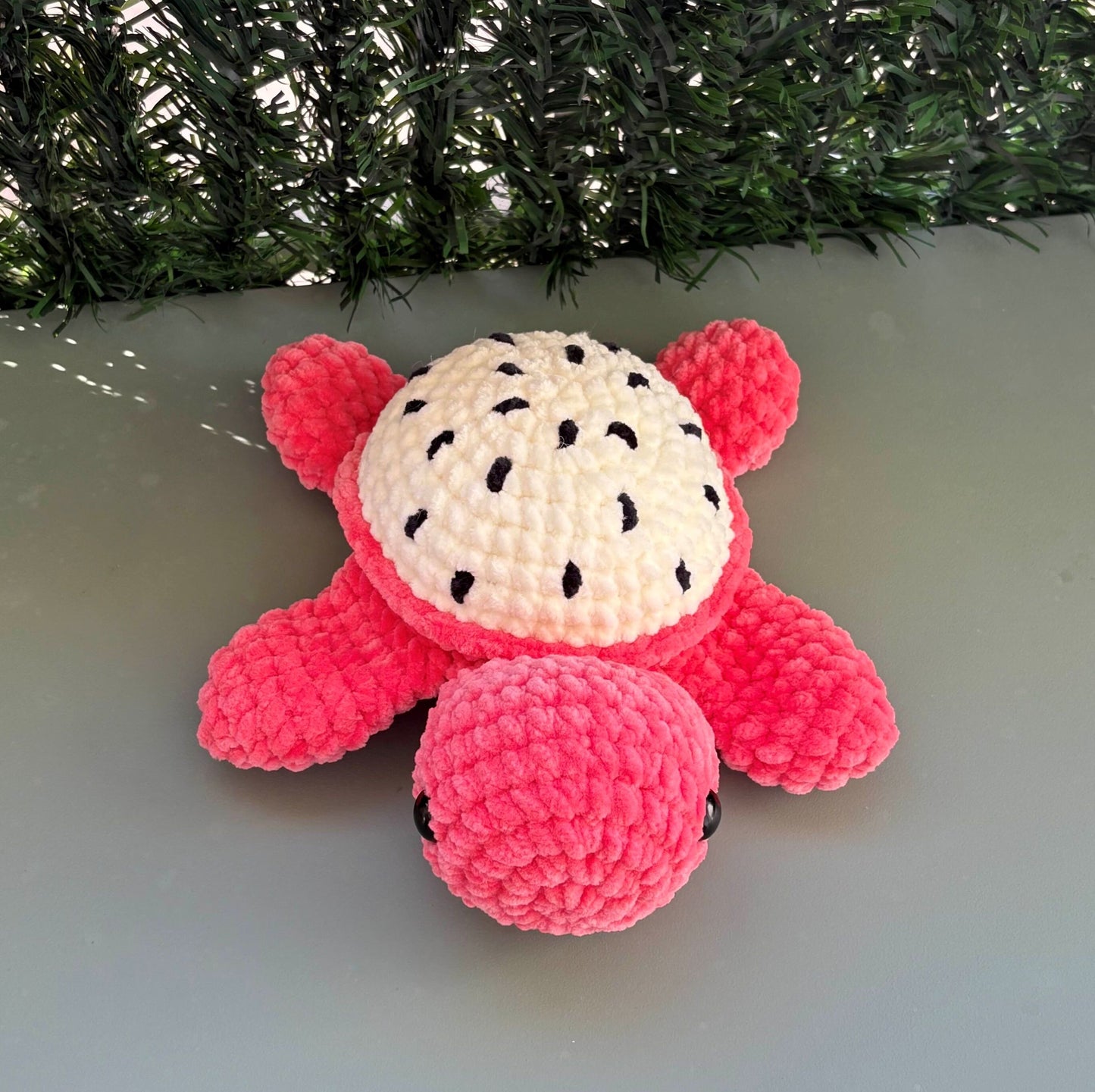 Tortue fruit du dragon 🐉