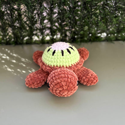 Tortue Kiwi 🥝