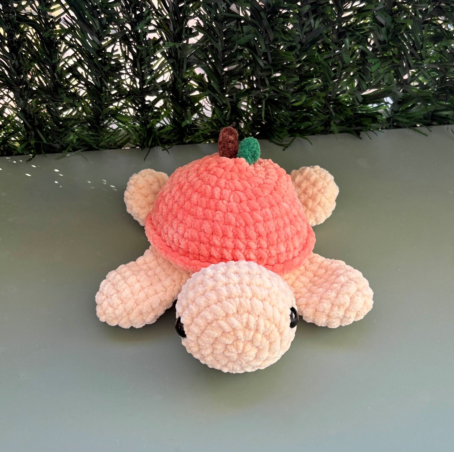 Tortue pêche 🍑
