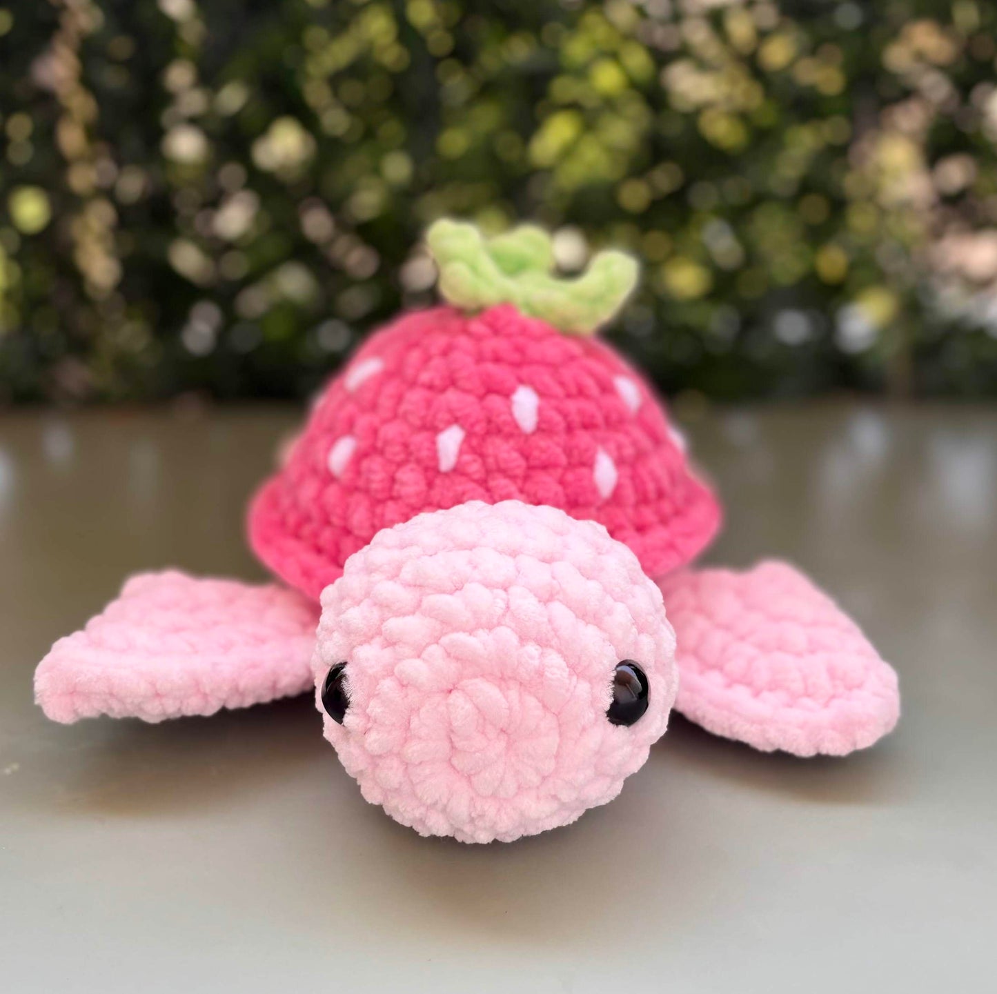 Tortue fraise petit modèle