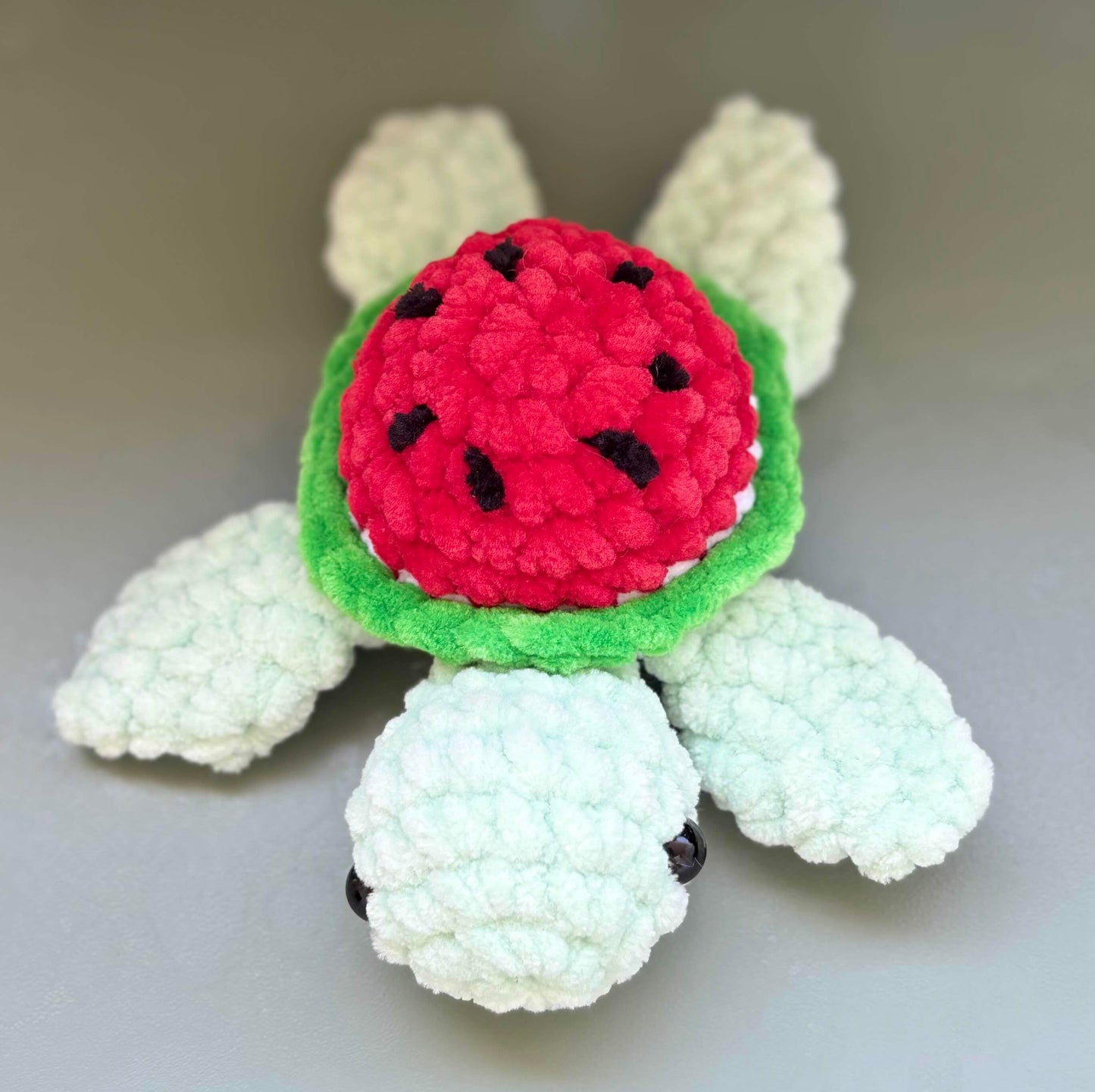 Petite tortue pastèque
