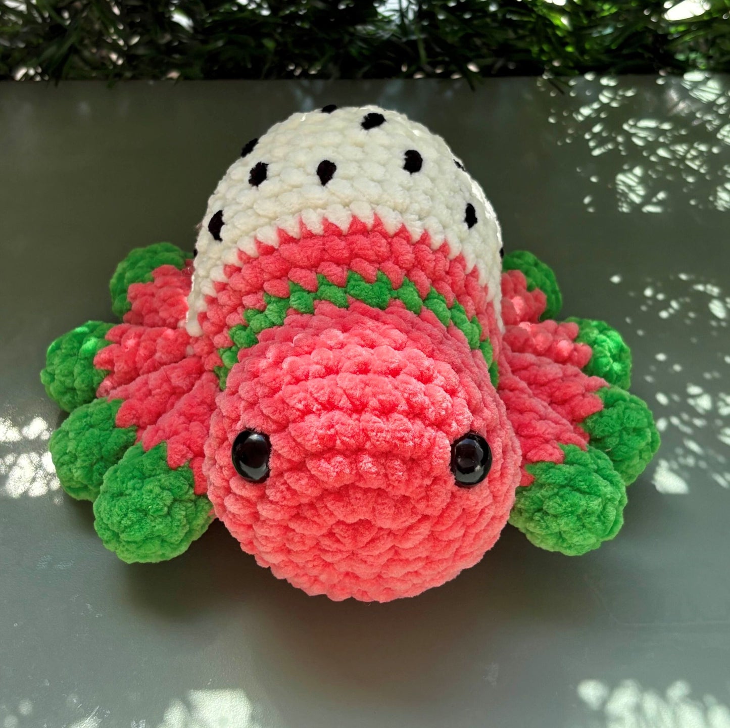 Araignée fruit du dragon 🐉