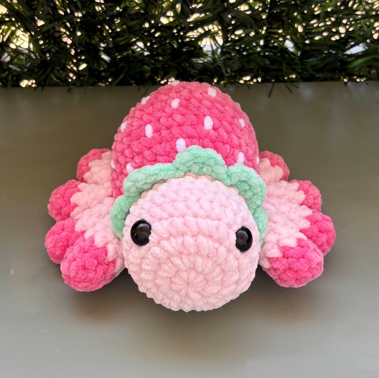 Araignée fraise 🍓