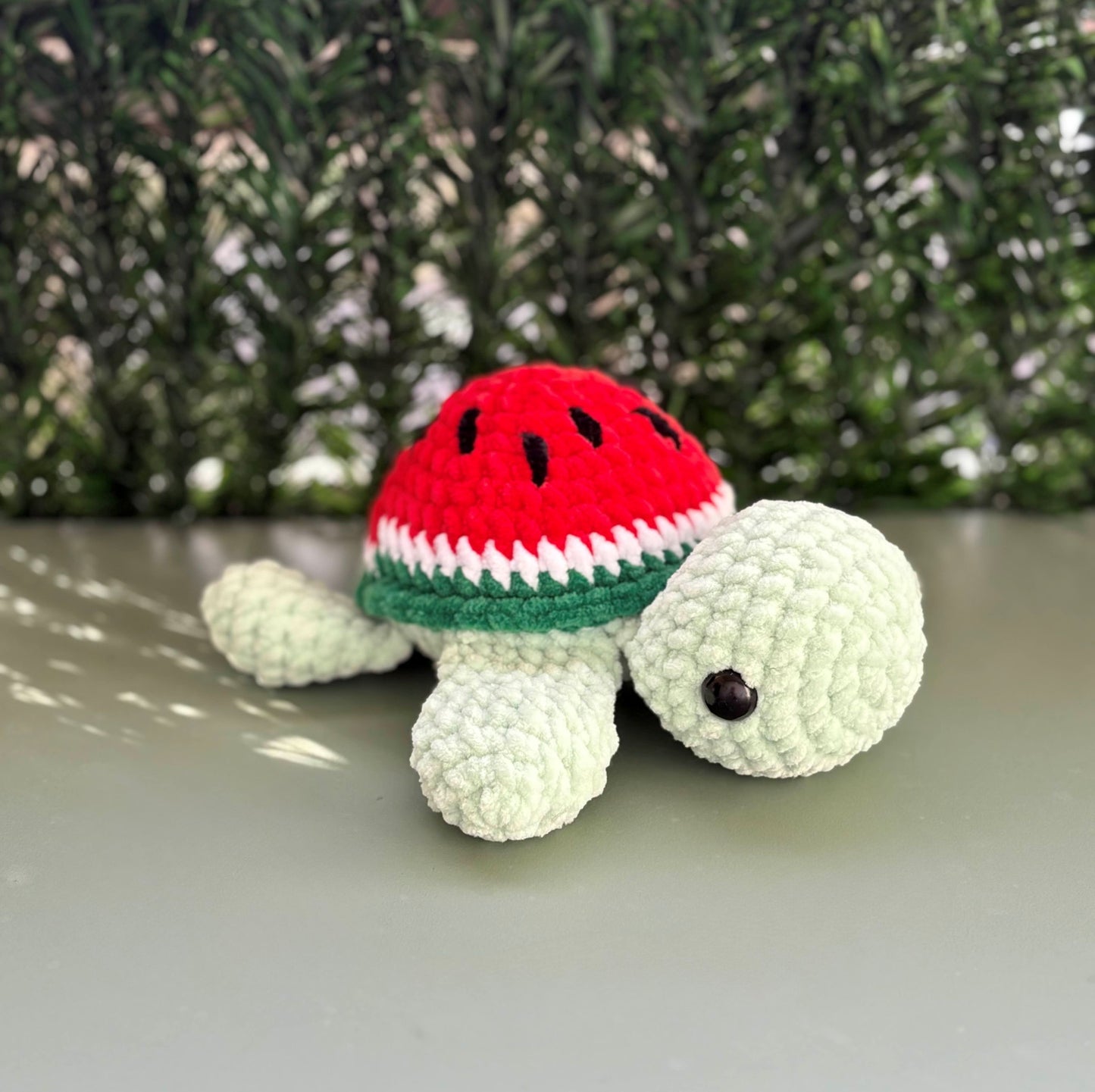 Tortue pastèque 🍉