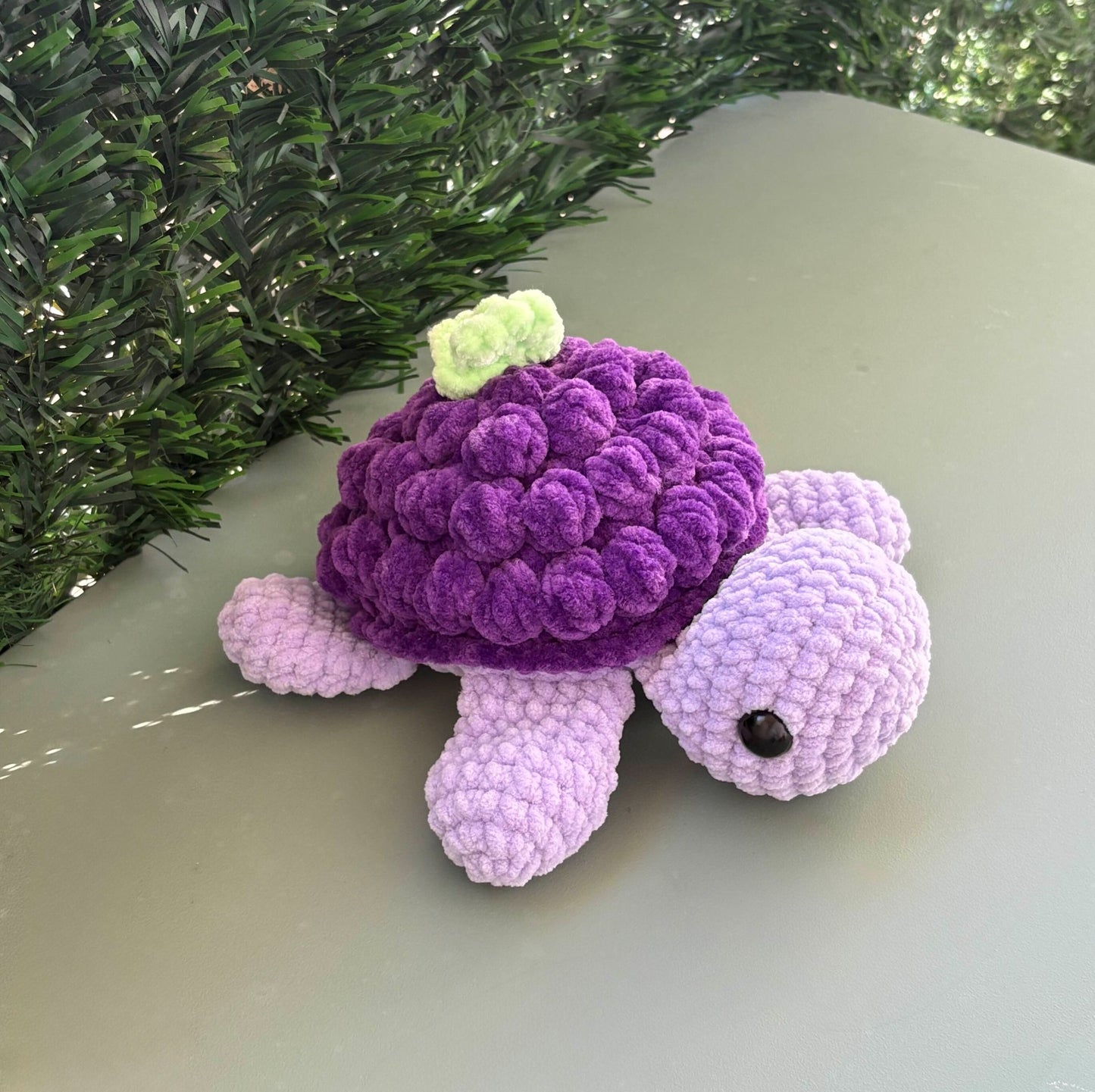 Tortue raisin 🍇