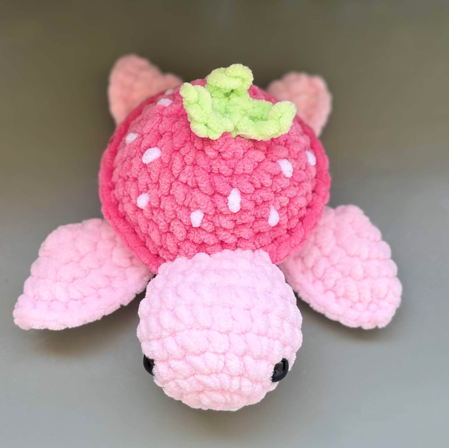 Tortue fraise petit modèle