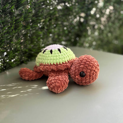 Tortue Kiwi 🥝