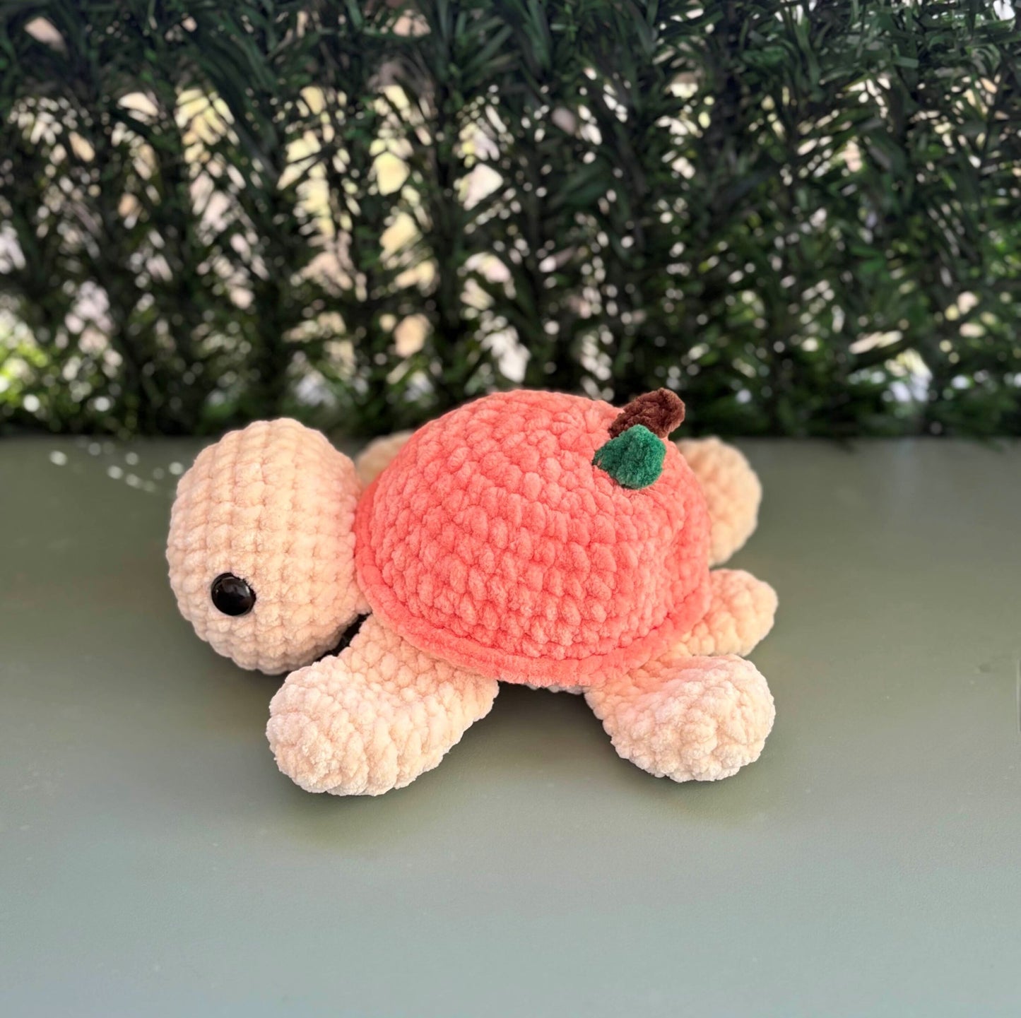 Tortue pêche 🍑