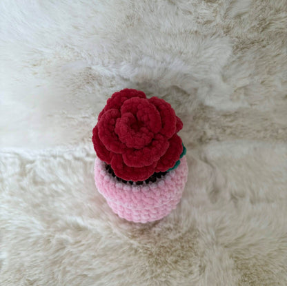 Pot de fleur rose 🌹