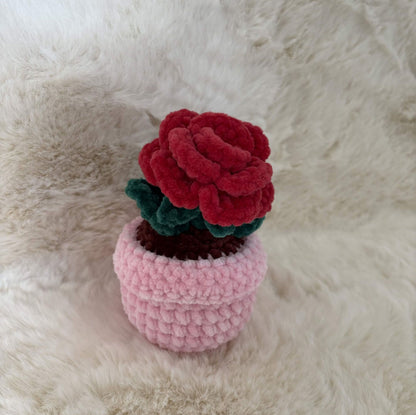 Pot de fleur rose 🌹