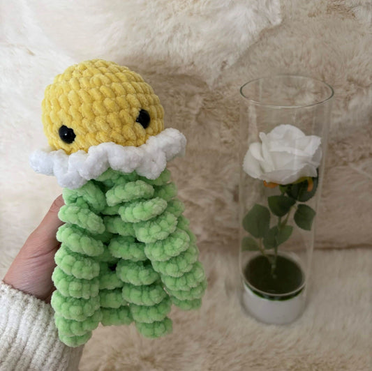 Méduse fleur Pâquerette