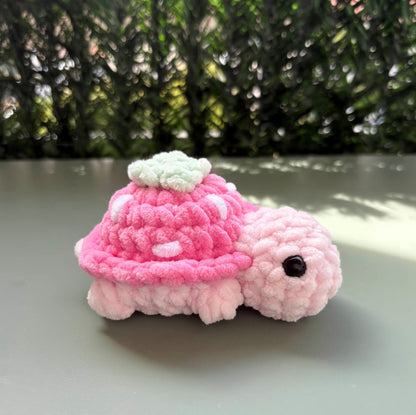 Mini tortue fruit