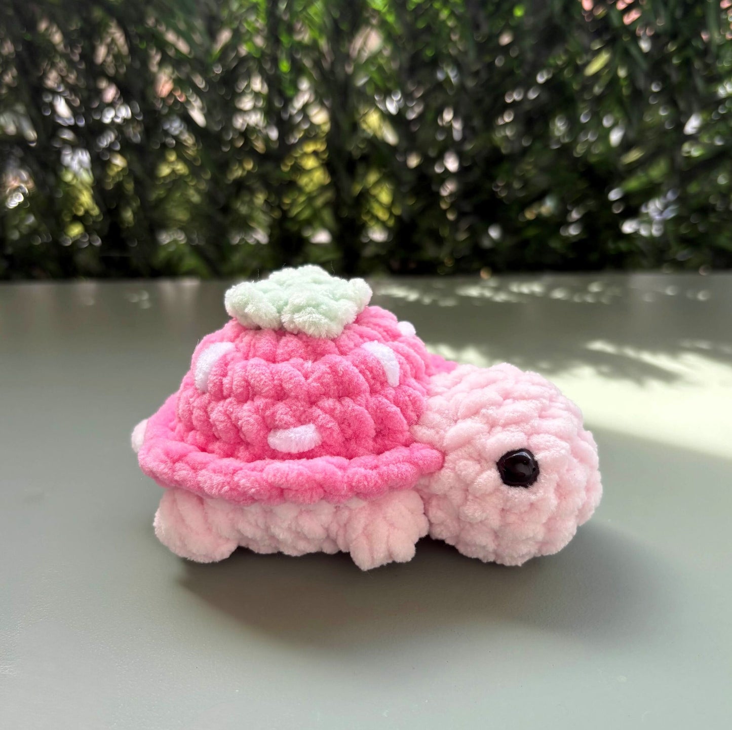 Mini tortue fruit