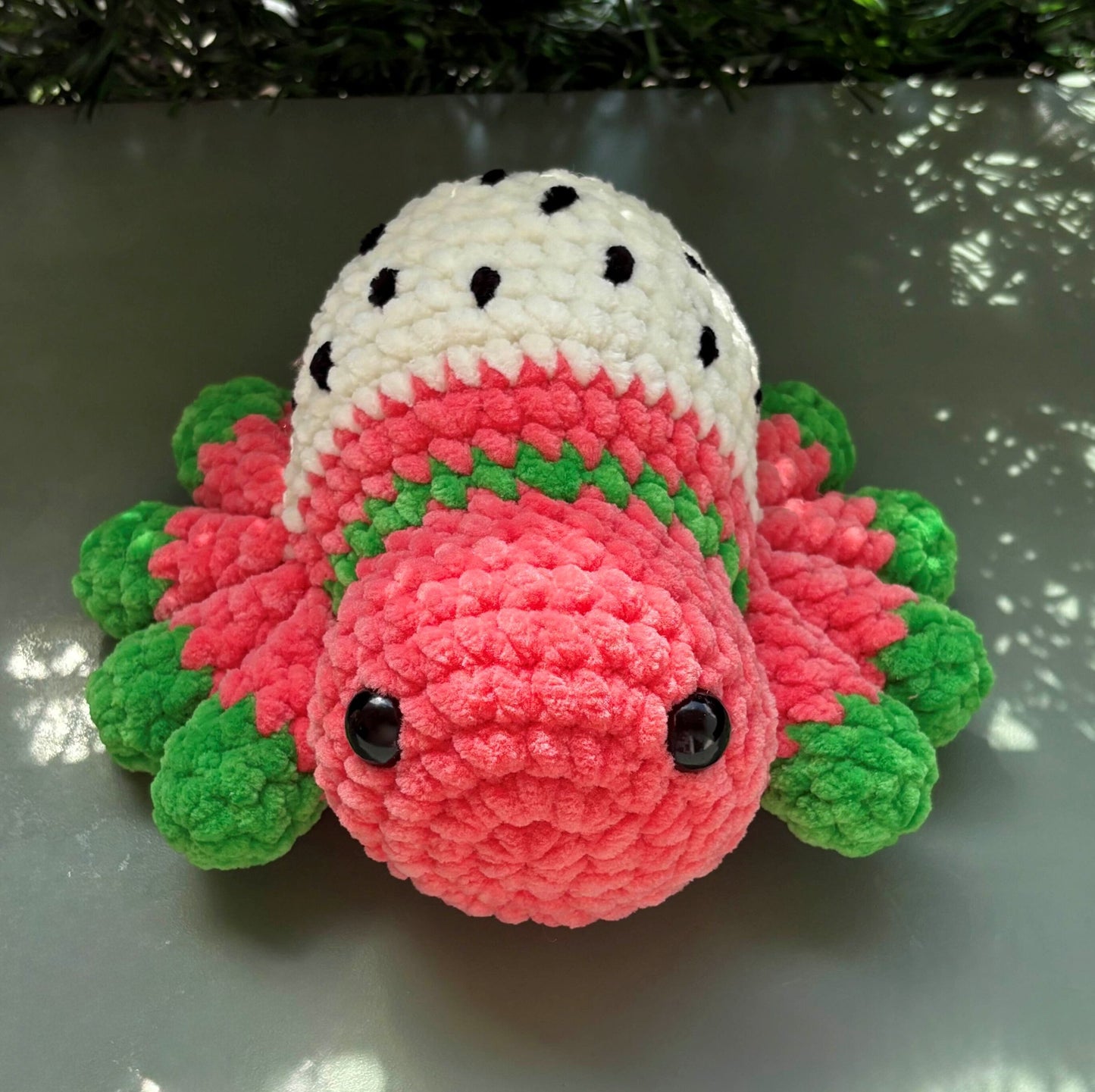 Araignée fruit du dragon 🐉