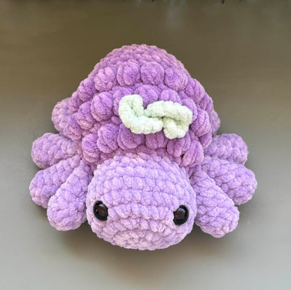 Araignée raisin 🍇