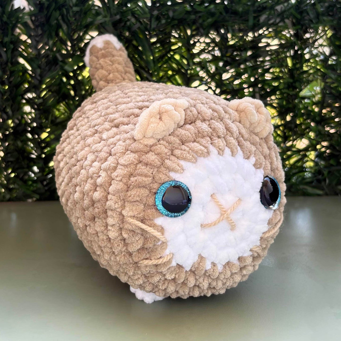 Chat marron