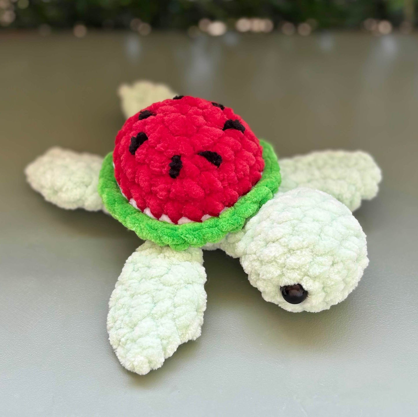Petite tortue pastèque