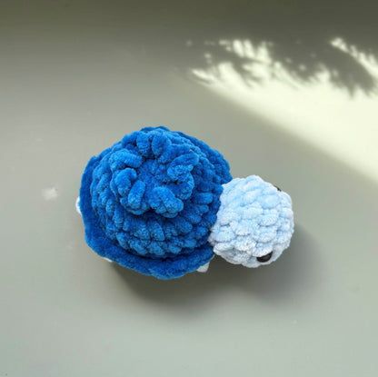 Mini tortue fruit