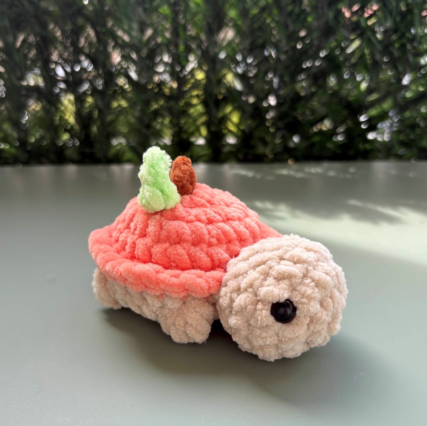 Mini tortue fruit