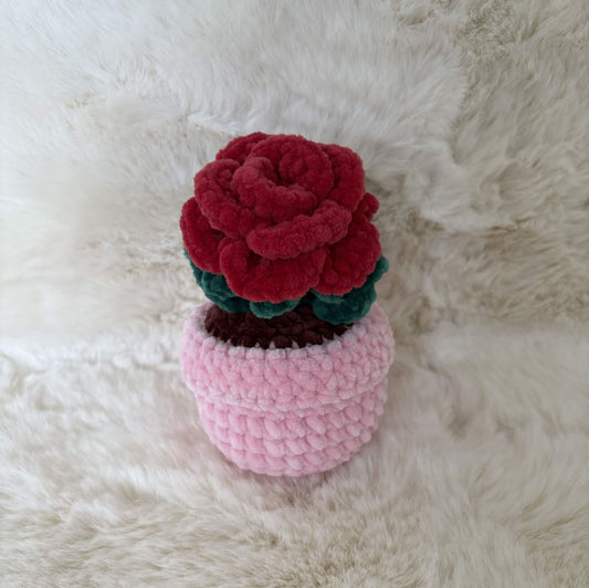 Pot de fleur rose 🌹