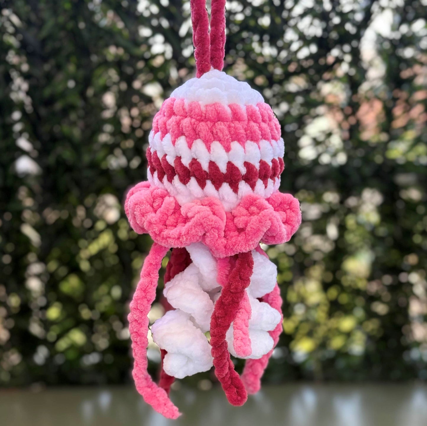 Méduse blanche et rose